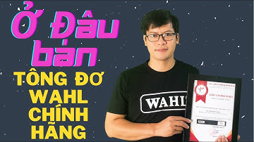 Mua Tông Đơ Wahl Chính Hãng Ở Đâu? Để Không Bị Mua Hàng Kém Chất Lượng