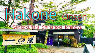 [Included free drink]하코네 가성비 료칸 센고쿠하라 시나노키 이치노유 온천 숙소 리뷰  #tokyotravel #hakone #onsen