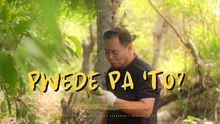 A Day with Fallen Mangoes, a Goat, and Paksiw na Isda Bisaya in Our Province Life