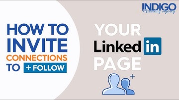 How To Invite Connections To Follow Your Linkedin Company Page | Indigo Marketing Agency