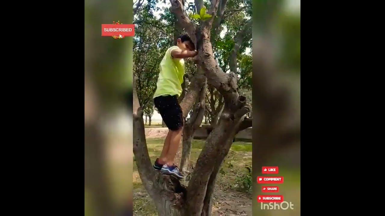 Fear of climbing trees ll 😂😂🤣🤣 YouTube