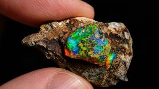 Does this New Opal Become the Find of a LIFETIME