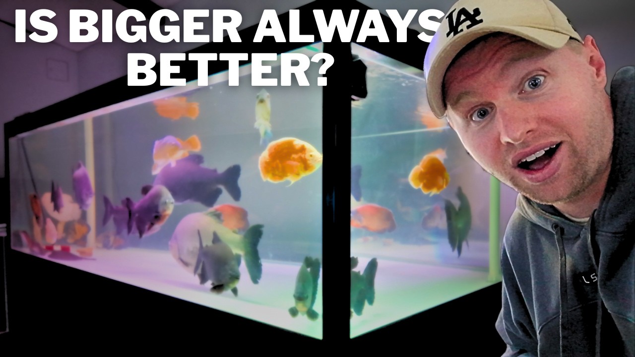 Правило «дюйм на галлон» НЕВЕРНО | Вот что вам на самом деле нужно