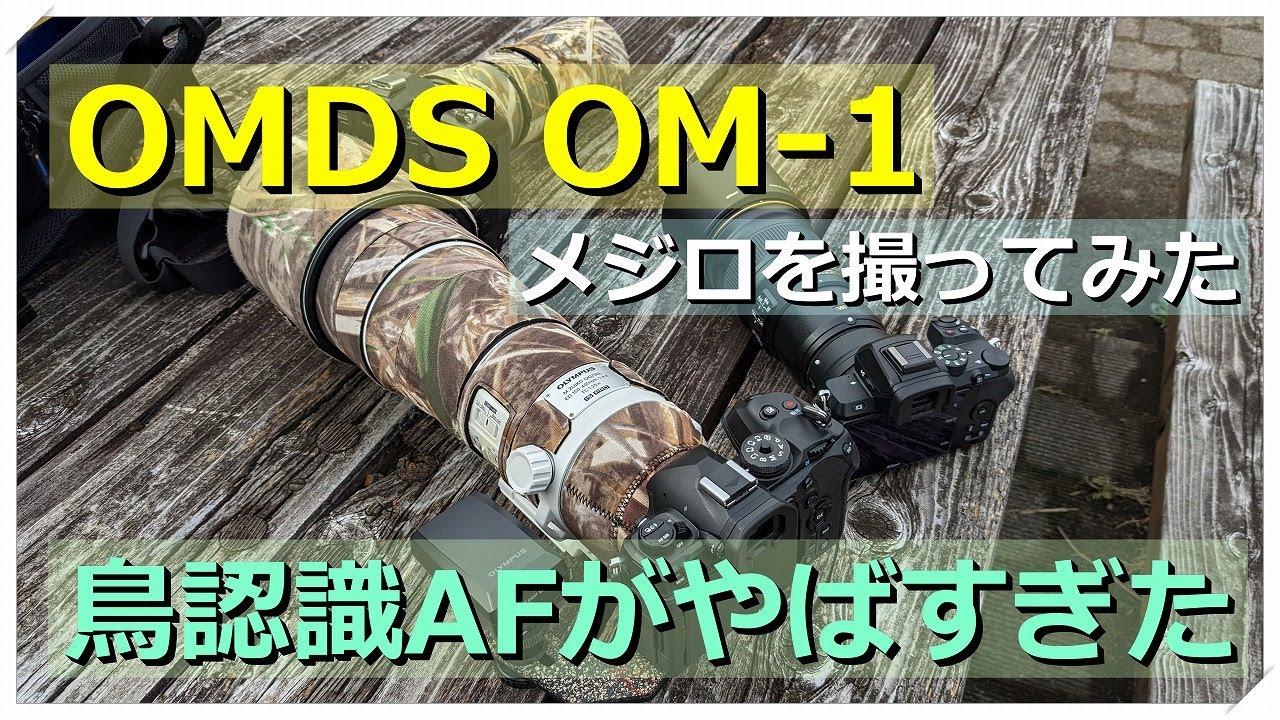 My impressions after taking photos of a Japanese white-eye with