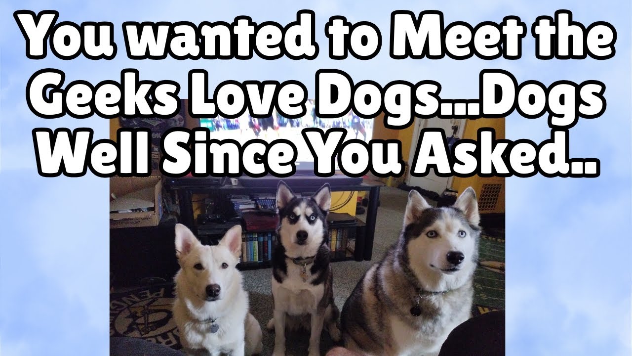 Meet The Book Tube "Geeks Love Dogs"...Dogs. Since you asked