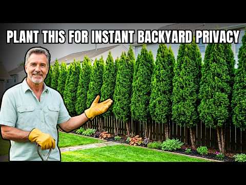 Plant These 9 Trees for Instant BACKYARD PRIVACY (And Are Legal)