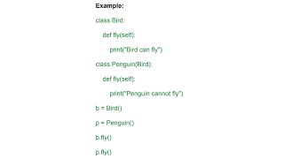 30.1 Runtime Polymorphism Example