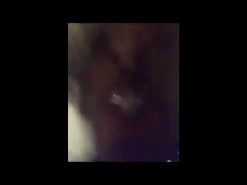 XXXTENTACION Yells Clout/Chlamydia