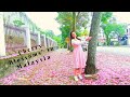 'Cherry Blossoms' || "Sakura Season In Malaysia" || Vlog#14 ||  A Colorful Season in 2021 ||