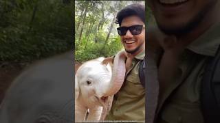 दुनिया के 3 सबसे रेयरेस्ट जानवर 😱 | Pink Dolphin, Black Panther &amp; White Elephant #facts #shorts
