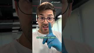 The Most Efficient Battery Recycling Process