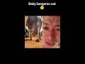 Baby Kangaroo Out Duet Ekmotahathighumechala Funny Comedy Harekfriendkaminahotahai Reaction 