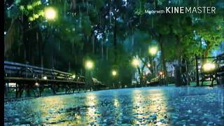 happy rainy day