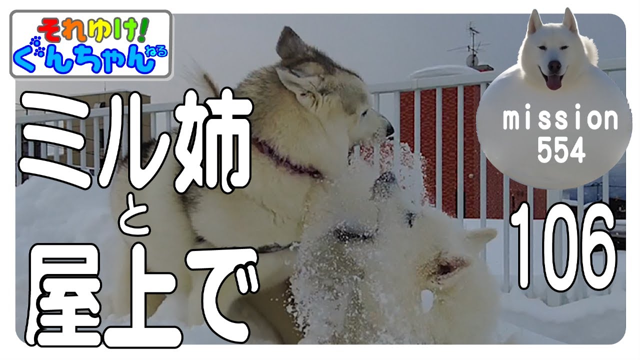 ぐんちゃんとミル姉と屋上で106