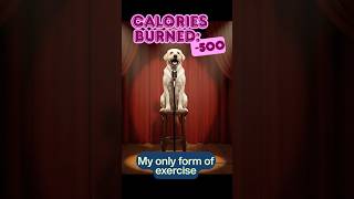 🔥Calories burned 500 | Pup Stand-Up Comedy Shorts 🎤🤣 EP18 #shorts #funny #comedy #dog