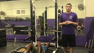 Inverted Row Upper Body Horizontal Pull
