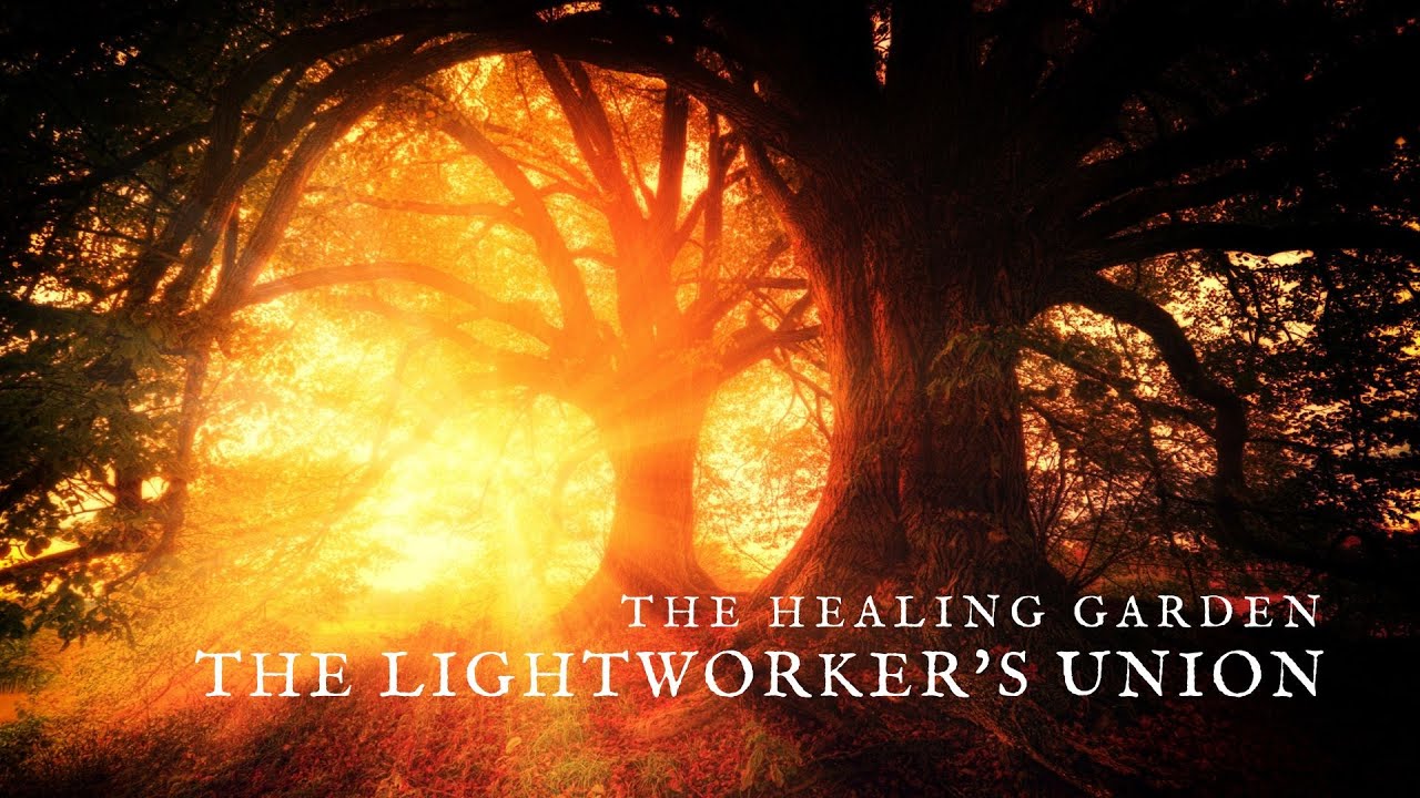 Triadic Healing: Part #1 - Identity