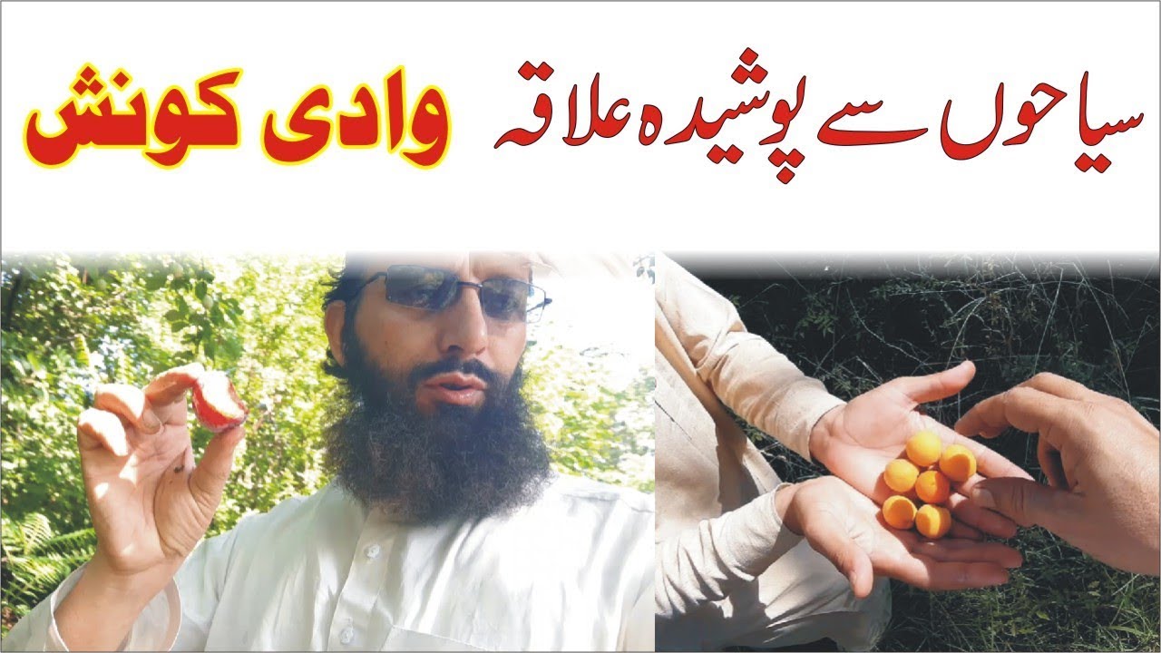 Visit Wadi e Konsh ► Part 1 ► Konsh Valley ► Natural scenes