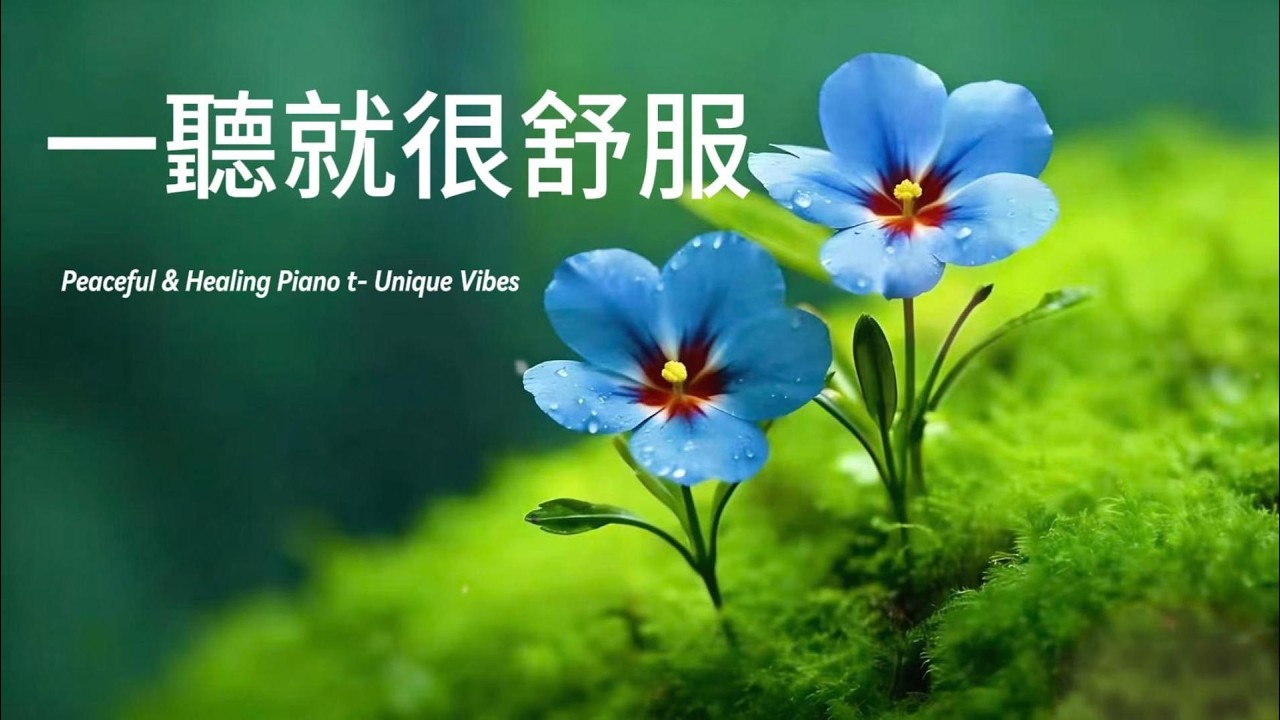 【宁静钢琴背景音乐】「溫柔到不想戴耳機 🌿 適合一個人發呆、看書、想事情的背景音樂」#睡眠音樂 #放鬆音樂 #背景音樂 #背景音樂