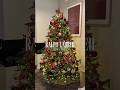 Il mio Natale 2025 a tema Ralph Lauren #natale2025 #ralphlauren #christmastree #alberodinatale