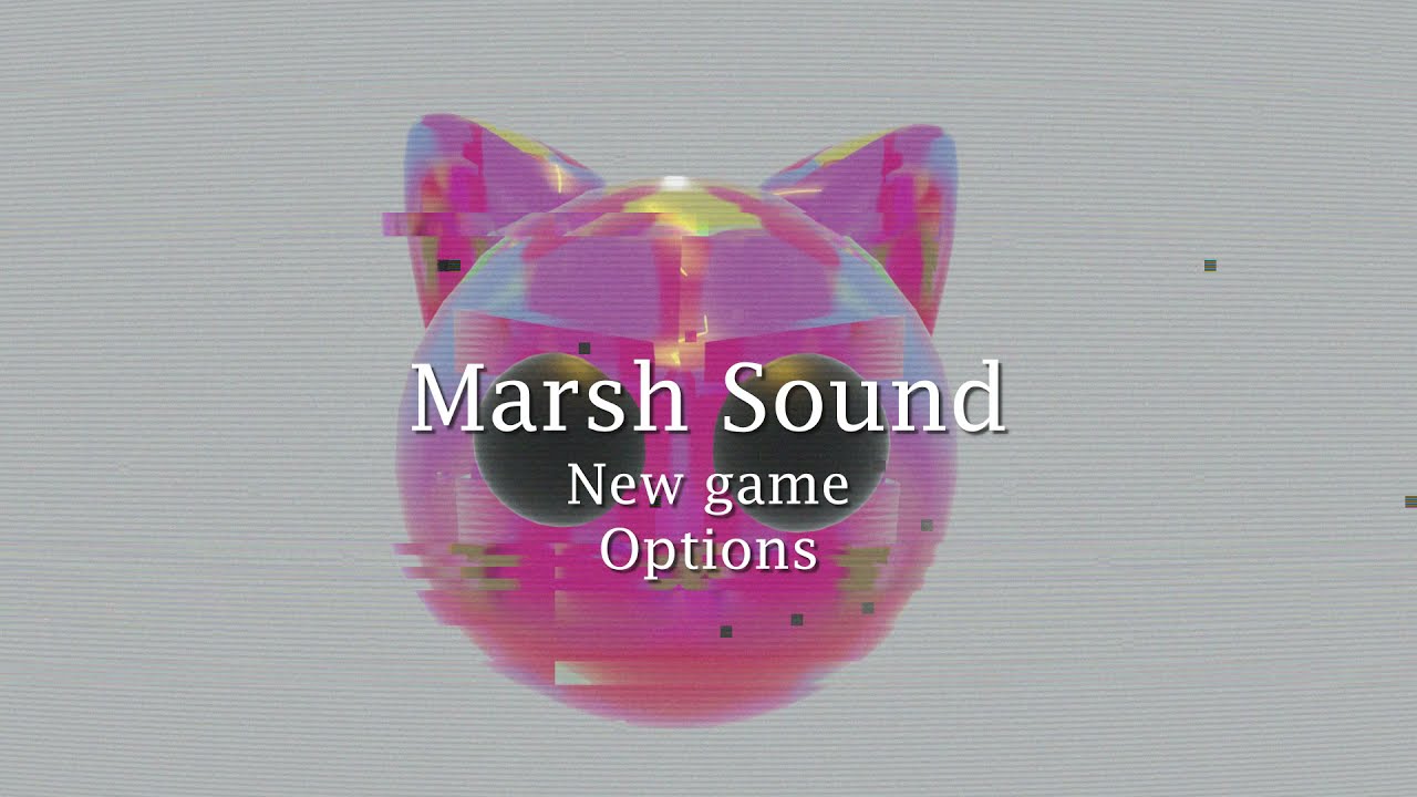 Marsh Sound - Closet