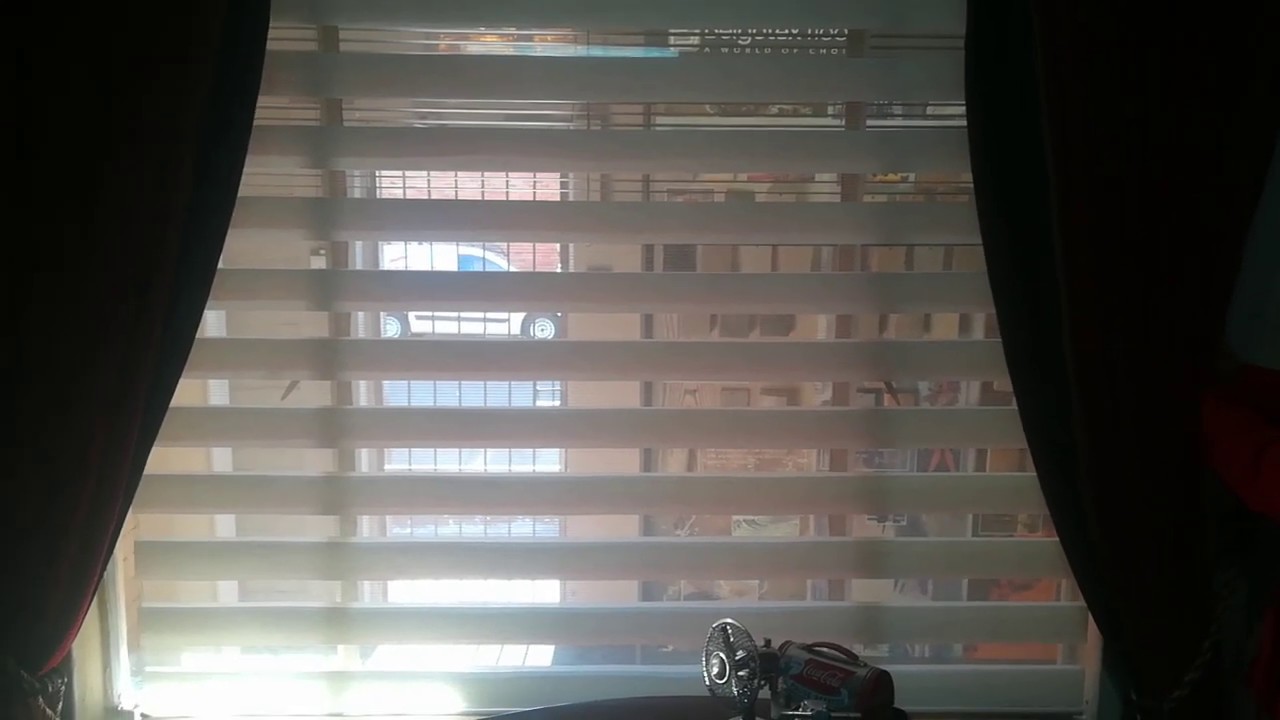 Zebra Blinds Carpet Lady Blinds Factory Youtube