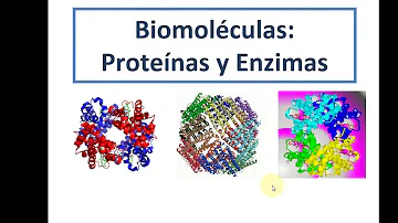 ¿Qué relación existe entre proteínas y enzimas?