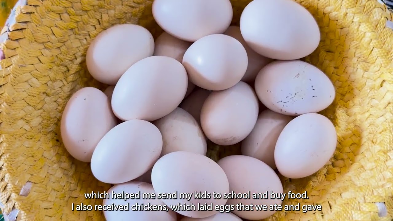 FSL Story BMZ Project   Garowe