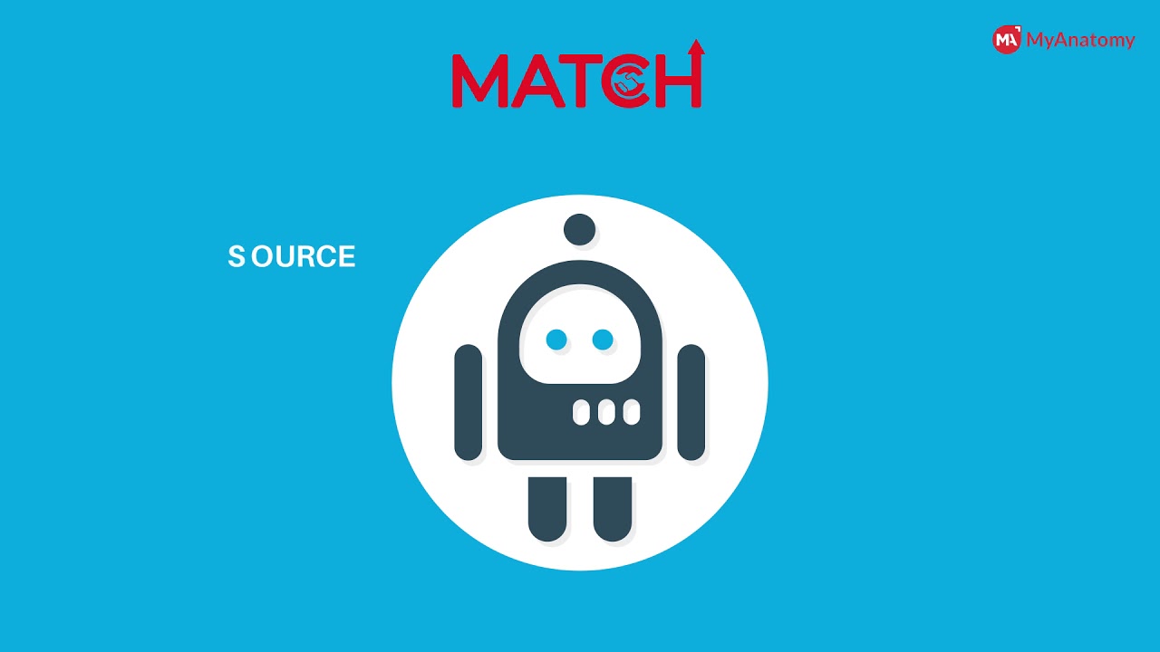 MyAnatomy  at a glance !!