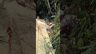 Full Risk Small Chainsaw