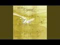 Miniature de la vidéo de la chanson Paths (Robert Miles Salted Remix)