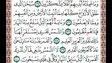   سورة     يس  .   .     صفحة   ٤٤٢    .   .       من الأية( ٣٥ ) إلى الأية( ٤٠ )