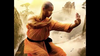 Chinese Shaolin Monk Kung Fu (Wushu) vs Japanese Karate MMA Fighter