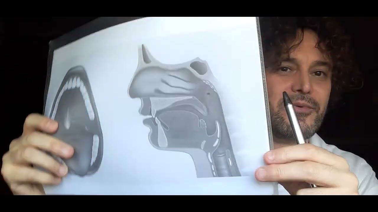 Alzare il palato molle: immagini  e chiarimenti risposta a Silvia