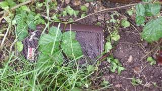 'Outdoor' Speaker Update! - Did They Last?