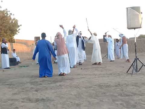 الفنان عوض الديم جديد 