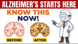 Stage 3 Brain Decline: The Silent Damage That Feels Like Nothing — Until It's Too Late
