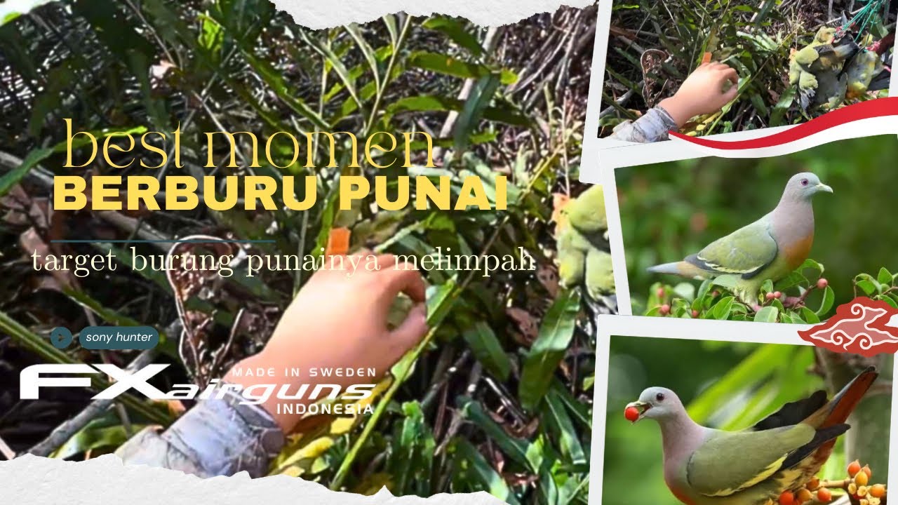 BEST MOMEN BERBURU PUNAI // BANYAK YG MENANYAKAN SPOT PUNAI INI😂😂