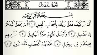 سورة الفيل القارئ عبدالرحمن الماجد
