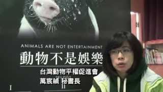 你的娛樂 他的痛苦 動物不是娛樂