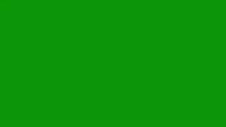 Green Background HD #008000 - Multipurpose Use - Graphical Use - No Audio - Blank Video Green Background HD #008000 - Multipurpose Use - Graphical Use - No Audio - Blank Video
