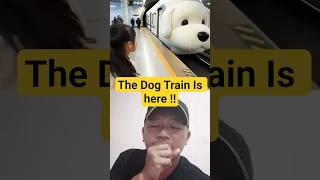 train Dogs😱 ⁉️