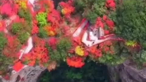 (وجاءت سكرة الموت بالحق) القارئ ناصر القطامي حفظه الله، اللهم أرزقنا حسن الخاتمة يارب العالمين