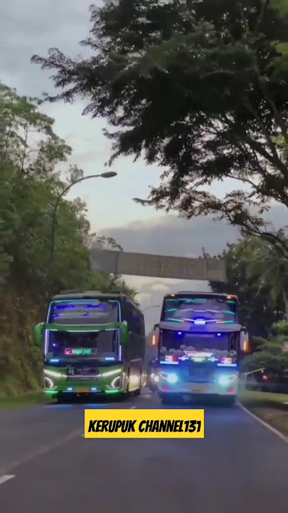 DUET BASURI V4 #shotrs #maudijb5 #pegasus #msmasyrof #basuriv4 #teloletbasuri #buspecelbalap