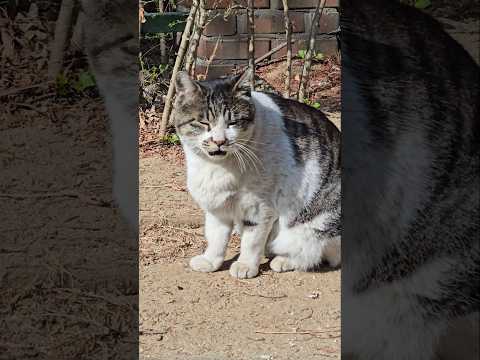 사오정 오랫만이다