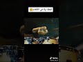 لقطة ولا في الأفلام mp3