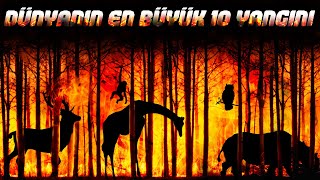 Dünyanin En Büyük 10 Yangini (Türkiyenin Akciğerleri Yanıyor)