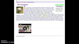 Ex 2 Screencast - Cavachons