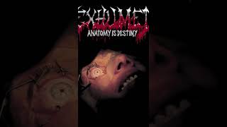 Exhumed - Anatomy Is Destiny - The Matter Of Splatter