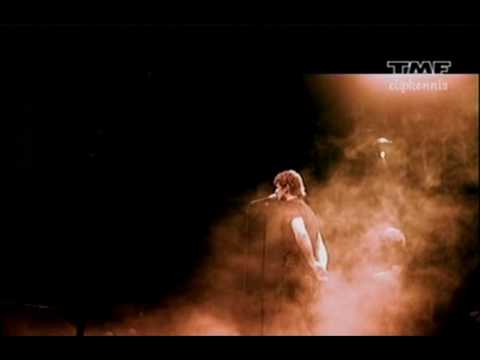 Racoon - Brother